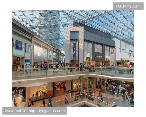 伯明翰桑德森几次回防质量极高