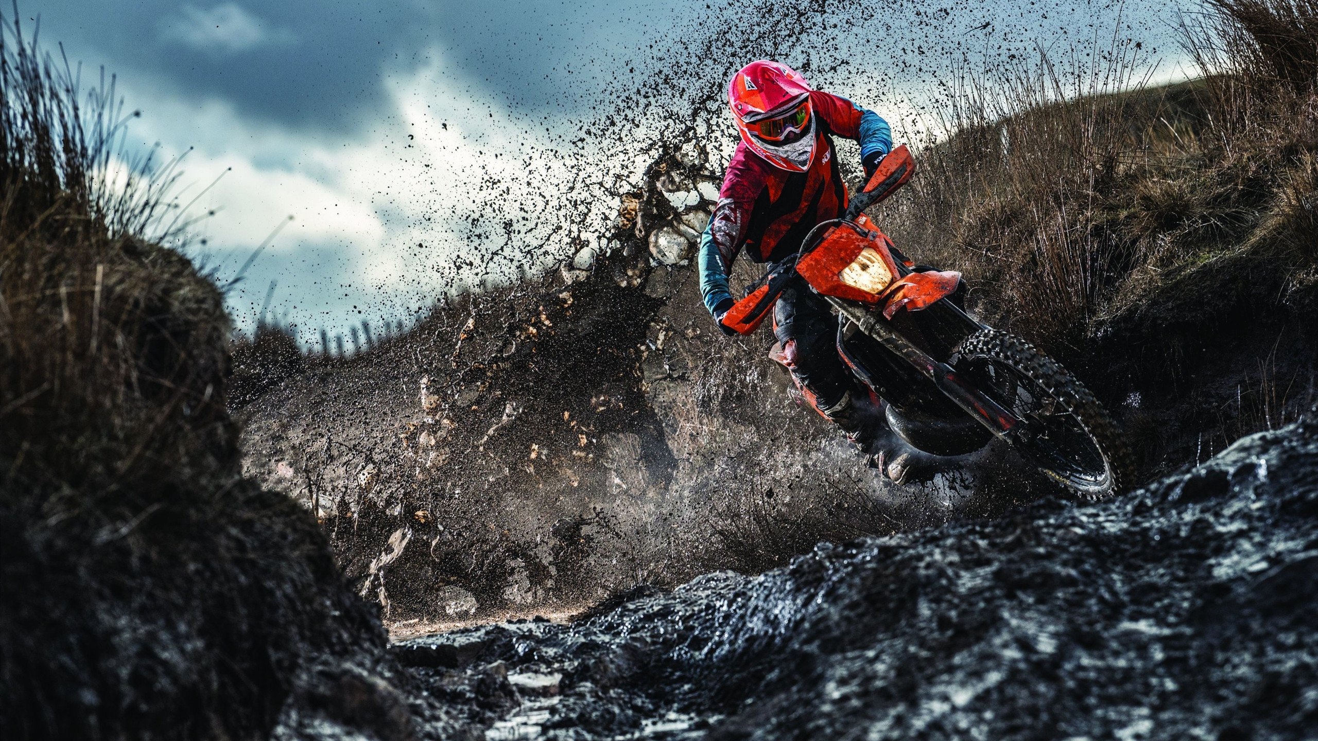 有氧运动与减脂关系